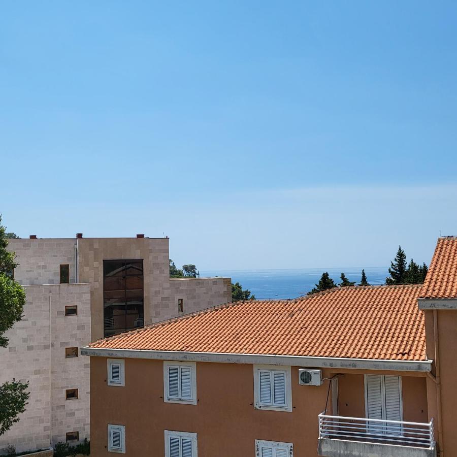 Apartmani Mia Sorajic Petrovac Exterior photo